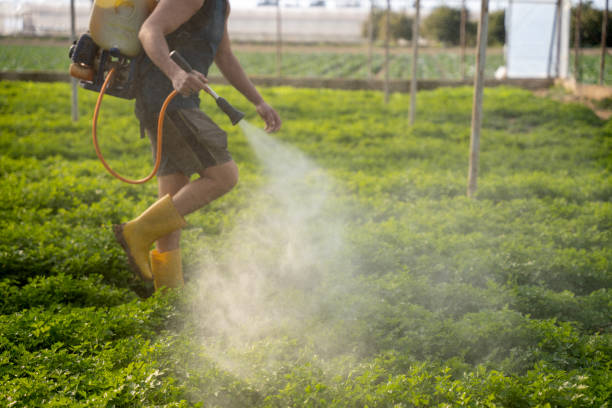 Best Pest Prevention Services  in Bethpage, NY